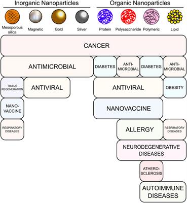 Nanomedical research and development in Spain: improving the treatment of diseases from the nanoscale